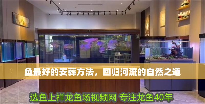 魚最好的安葬方法，回歸河流的自然之道