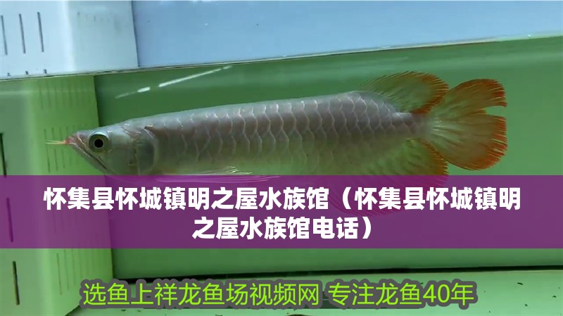 懷集縣懷城鎮(zhèn)明之屋水族館（懷集縣懷城鎮(zhèn)明之屋水族館電話）