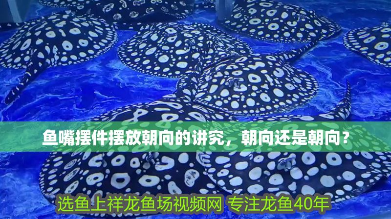 魚嘴擺件擺放朝向的講究，朝向還是朝向？