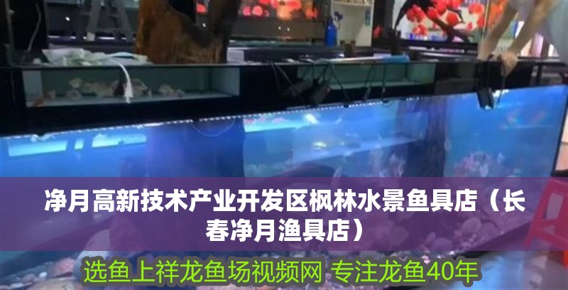 凈月高新技術產業(yè)開發(fā)區(qū)楓林水景魚具店（長春凈月漁具店）