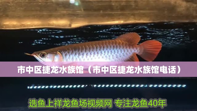 市中區捷龍水族館（市中區捷龍水族館電話）
