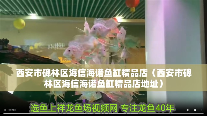 西安市碑林區(qū)海信海諾魚缸精品店（西安市碑林區(qū)海信海諾魚缸精品店地址）