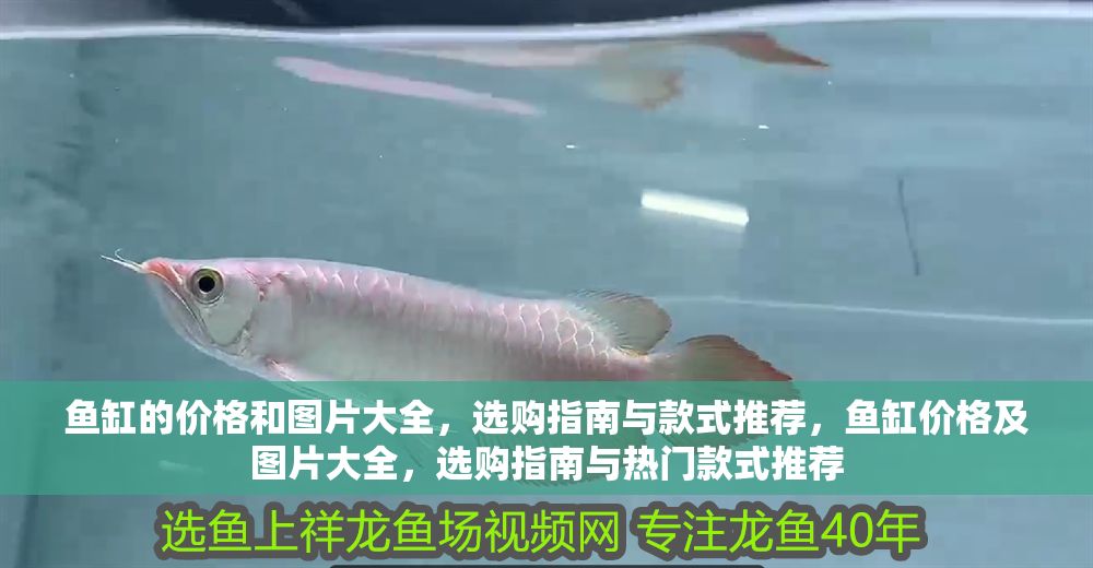 魚缸的價格和圖片大全，選購指南與款式推薦，魚缸價格及圖片大全，選購指南與熱門款式推薦