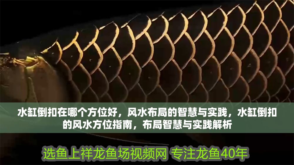 水缸倒扣在哪個方位好，風水布局的智慧與實踐，水缸倒扣的風水方位指南，布局智慧與實踐解析