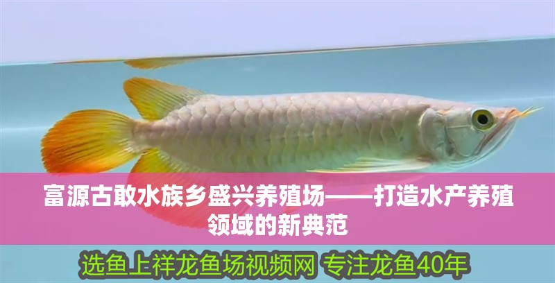 富源古敢水族鄉(xiāng)盛興養(yǎng)殖場——打造水產養(yǎng)殖領域的新典范