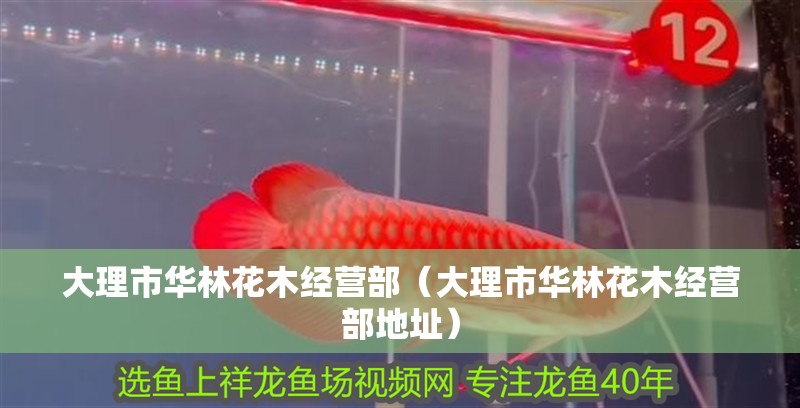 大理市華林花木經營部（大理市華林花木經營部地址）