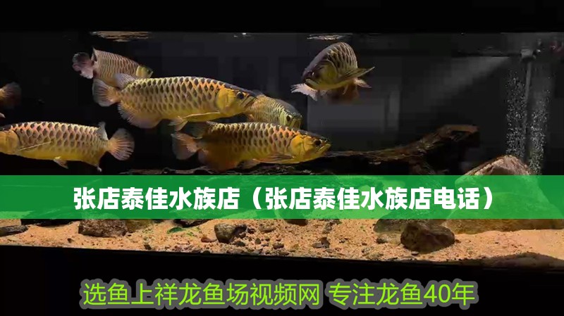 張店泰佳水族店（張店泰佳水族店電話）