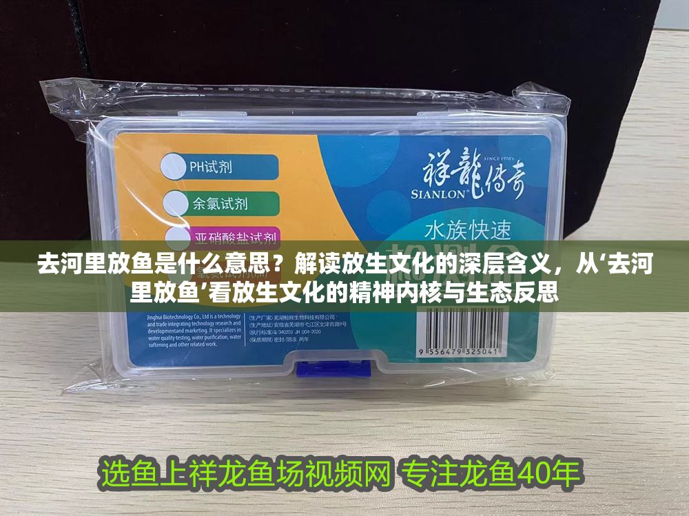 去河里放魚是什么意思？解讀放生文化的深層含義，從‘去河里放魚’看放生文化的精神內核與生態反思