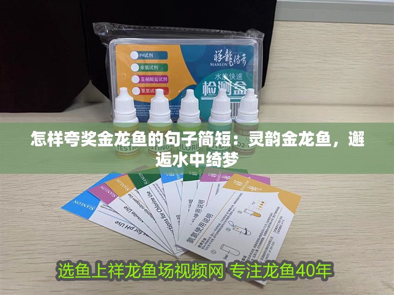 怎樣夸獎金龍魚的句子簡短：靈韻金龍魚，邂逅水中綺夢