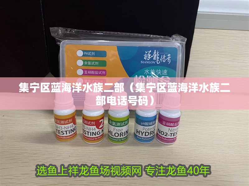 集寧區藍海洋水族二部（集寧區藍海洋水族二部電話號碼）