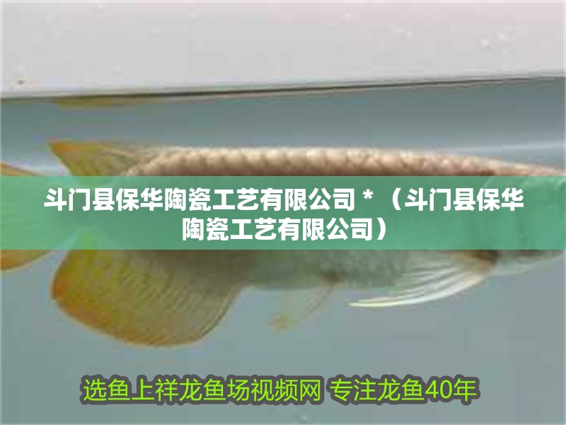 斗門縣保華陶瓷工藝有限公司＊（斗門縣保華陶瓷工藝有限公司）