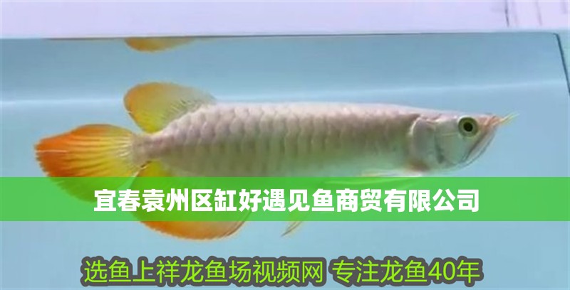 宜春袁州區缸好遇見魚商貿有限公司
