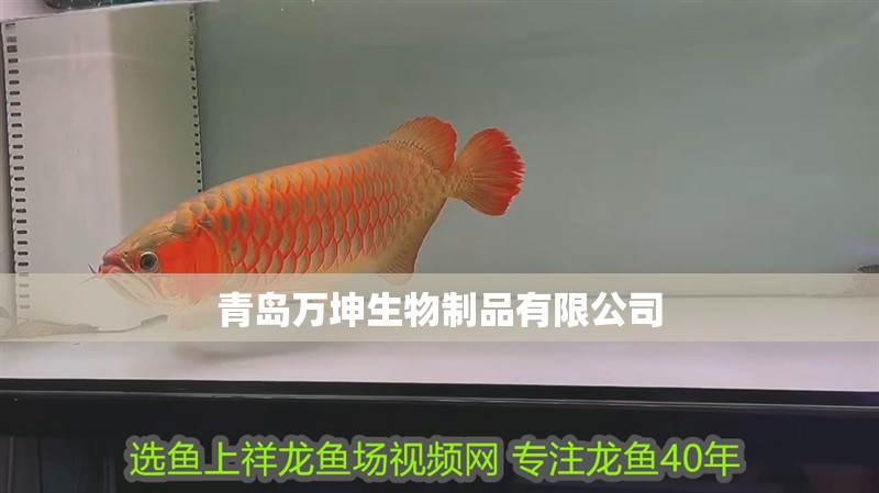青島萬坤生物制品有限公司