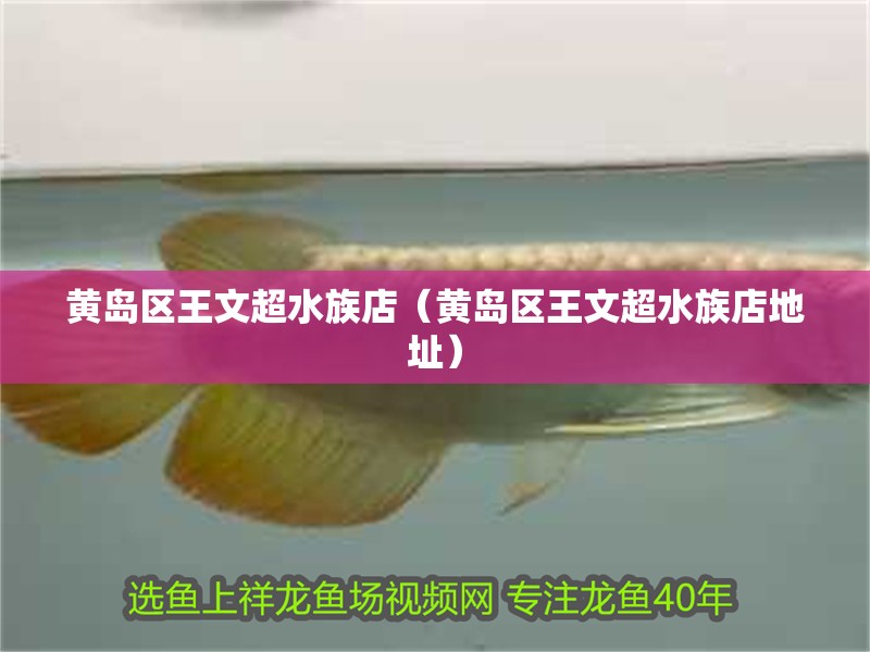 黃島區王文超水族店（黃島區王文超水族店地址）