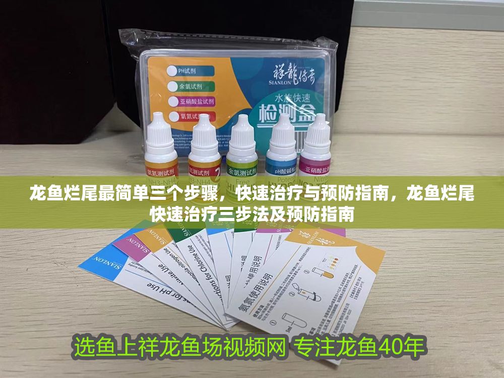 龍魚爛尾最簡單三個步驟，快速治療與預防指南，龍魚爛尾快速治療三步法及預防指南