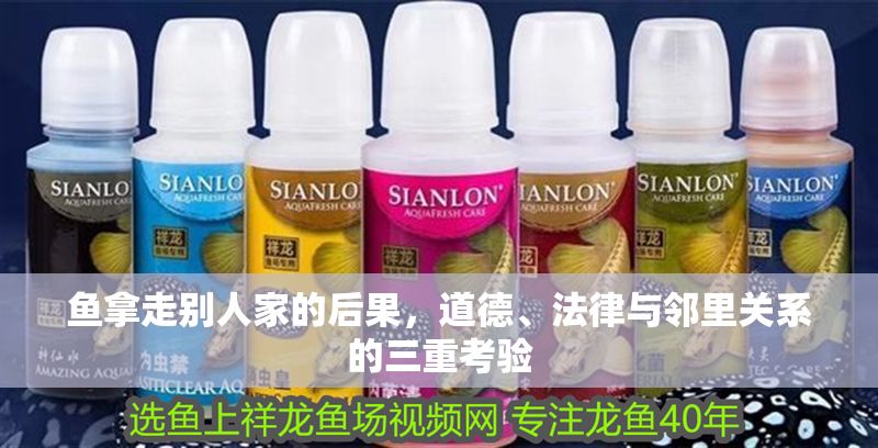 魚拿走別人家的后果，道德、法律與鄰里關系的三重考驗