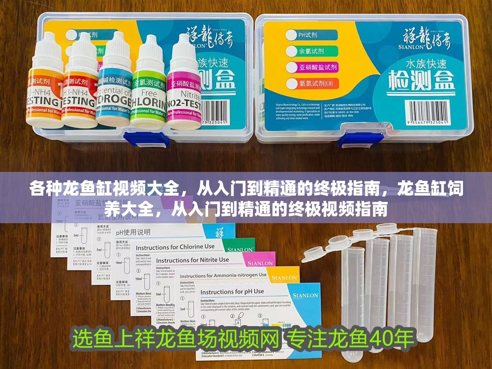 各種龍魚(yú)缸視頻大全，從入門到精通的終極指南，龍魚(yú)缸飼養(yǎng)大全，從入門到精通的終極視頻指南