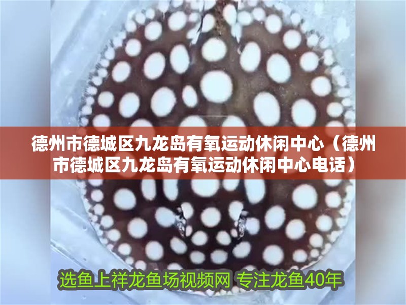 德州市德城區九龍島有氧運動休閑中心（德州市德城區九龍島有氧運動休閑中心電話）