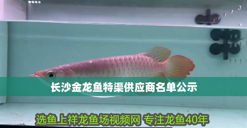 長沙金龍魚特渠供應商名單公示