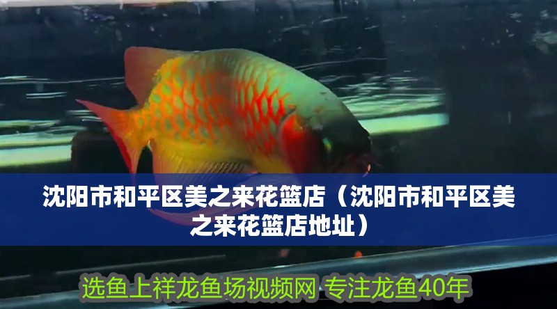 沈陽市和平區(qū)美之來花籃店（沈陽市和平區(qū)美之來花籃店地址）