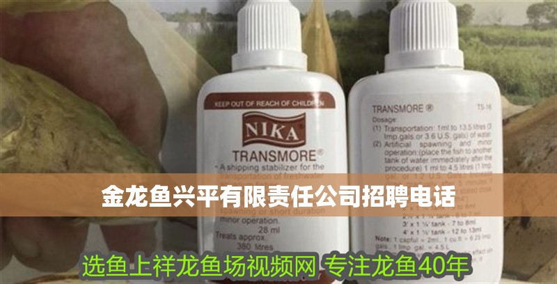 金龍魚興平有限責任公司招聘電話