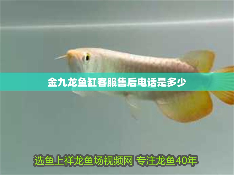 金九龍魚缸客服售后電話是多少
