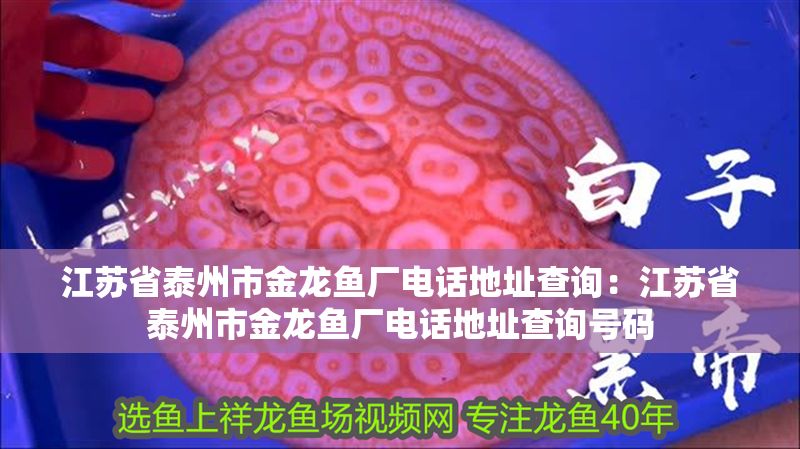 拿鐵和咖啡的區(qū)別(拿鐵和咖啡的區(qū)別在哪)