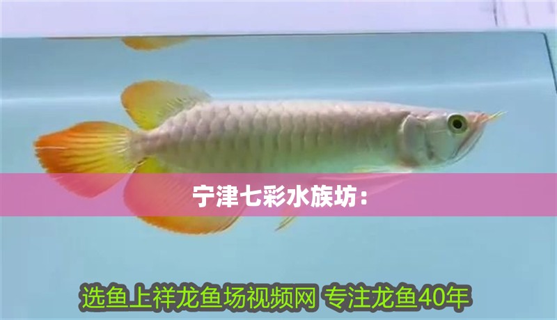 寧津七彩水族坊：