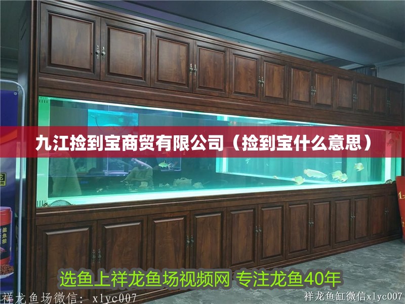九江撿到寶商貿有限公司（撿到寶什么意思）