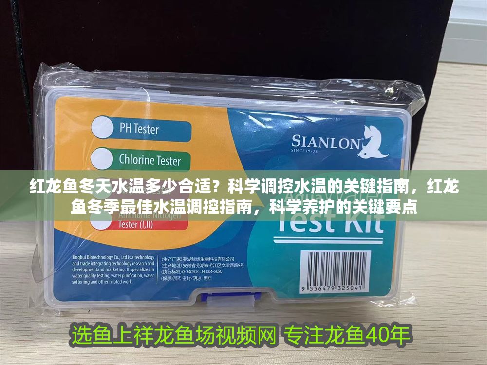 紅龍魚冬天水溫多少合適？科學調(diào)控水溫的關鍵指南，紅龍魚冬季最佳水溫調(diào)控指南，科學養(yǎng)護的關鍵要點