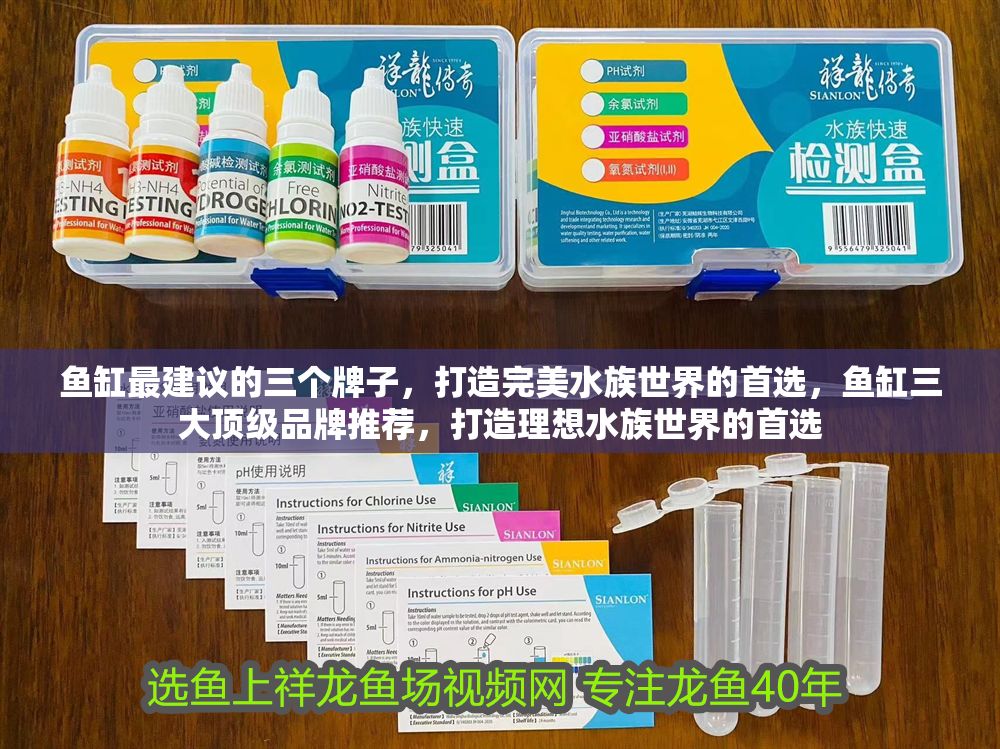 魚缸最建議的三個牌子，打造完美水族世界的首選，魚缸三大頂級品牌推薦，打造理想水族世界的首選