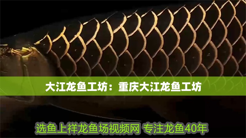 大江龍魚工坊：重慶大江龍魚工坊