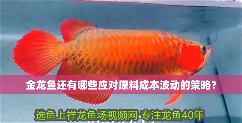 金龍魚還有哪些應(yīng)對原料成本波動的策略？