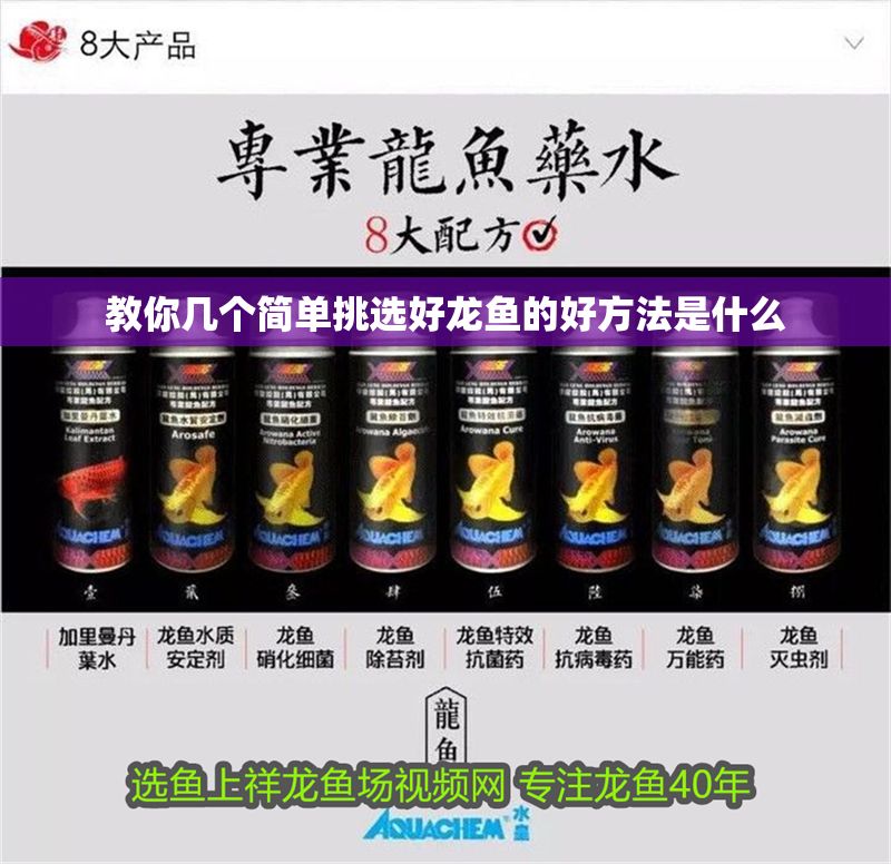 教你幾個簡單挑選好龍魚的好方法是什么