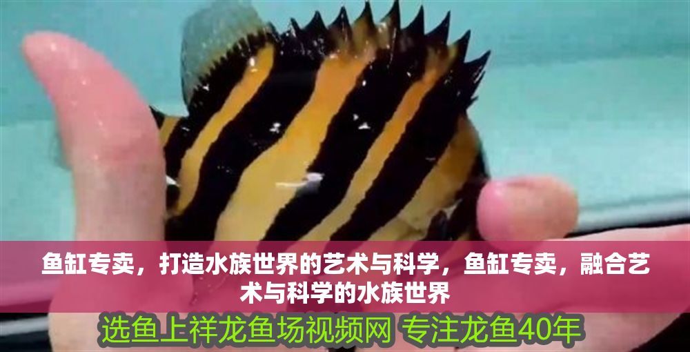 魚缸專賣，打造水族世界的藝術與科學，魚缸專賣，融合藝術與科學的水族世界