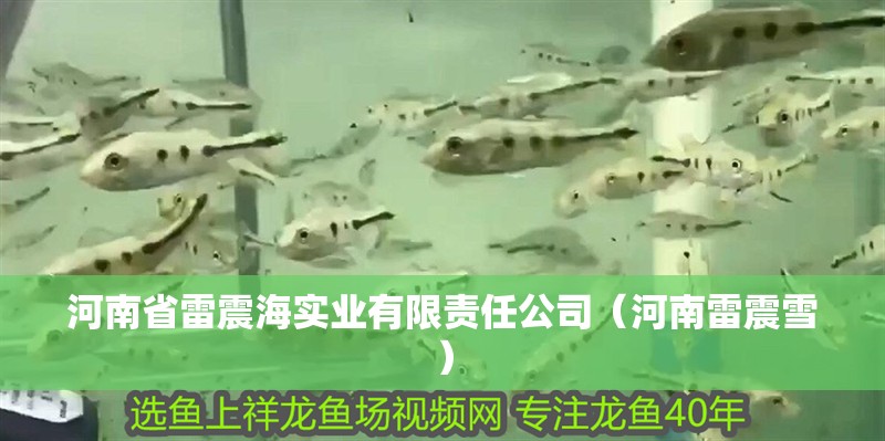 河南省雷震海實業有限責任公司（河南雷震雪）