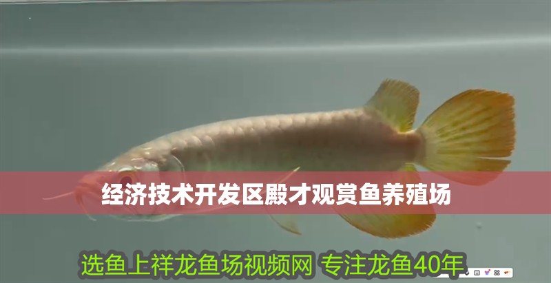 經濟技術開發區殿才觀賞魚養殖場