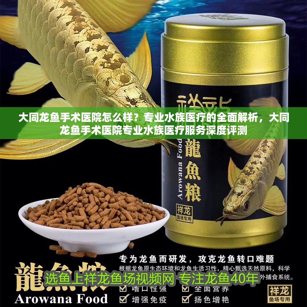 大同龍魚手術(shù)醫(yī)院怎么樣？專業(yè)水族醫(yī)療的全面解析，大同龍魚手術(shù)醫(yī)院專業(yè)水族醫(yī)療服務深度評測