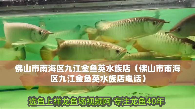 佛山市南海區九江金魚英水族店（佛山市南海區九江金魚英水族店電話）
