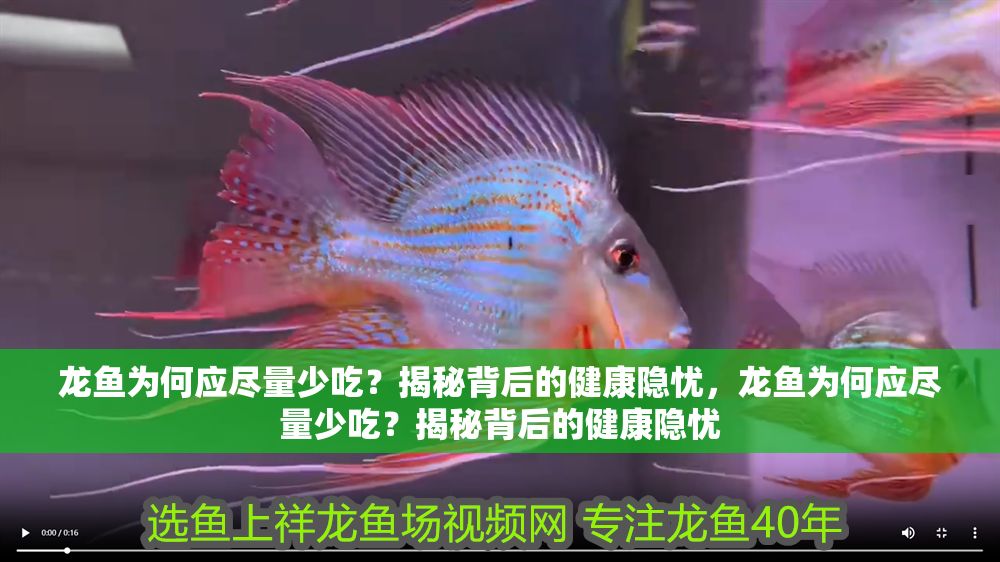 龍魚為何應(yīng)盡量少吃？揭秘背后的健康隱憂，龍魚為何應(yīng)盡量少吃？揭秘背后的健康隱憂