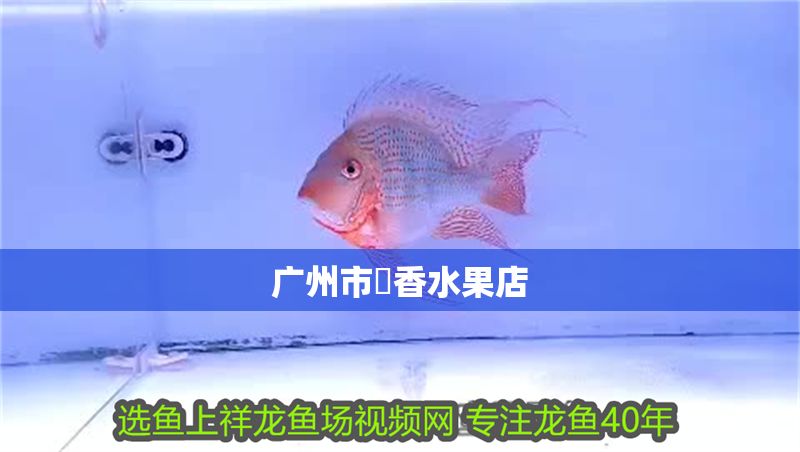 廣州市琇香水果店