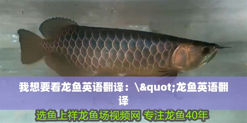 我想要看龍魚英語翻譯：\"龍魚英語翻譯