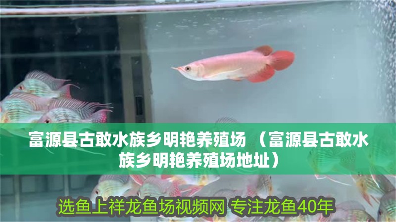 富源縣古敢水族鄉(xiāng)明艷養(yǎng)殖場(chǎng) （富源縣古敢水族鄉(xiāng)明艷養(yǎng)殖場(chǎng)地址）