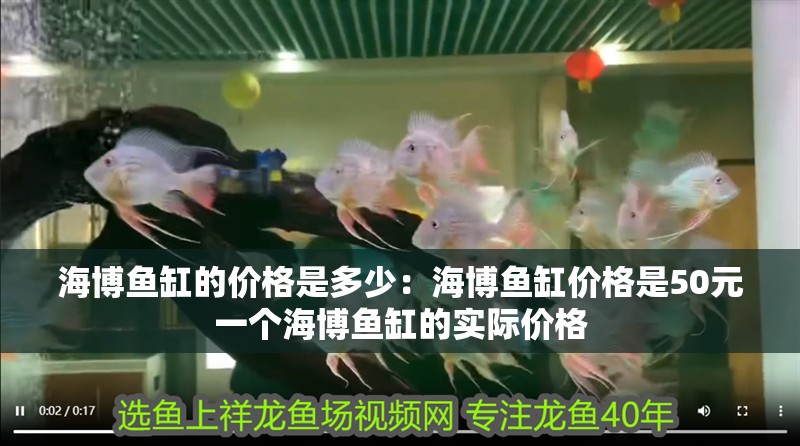 海博魚缸的價(jià)格是多少：海博魚缸價(jià)格是50元一個(gè)海博魚缸的實(shí)際價(jià)格