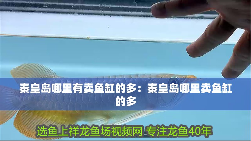 秦皇島哪里有賣魚缸的多：秦皇島哪里賣魚缸的多