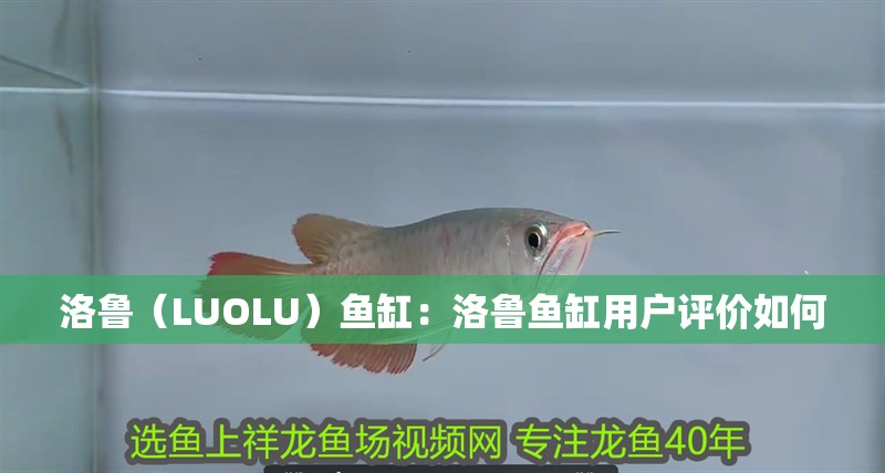 洛魯（LUOLU）魚缸：洛魯魚缸用戶評價如何