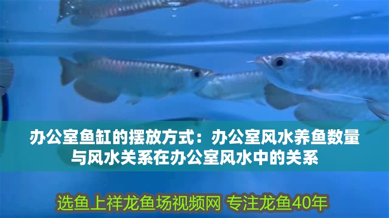 辦公室魚(yú)缸的擺放方式：辦公室風(fēng)水養(yǎng)魚(yú)數(shù)量與風(fēng)水關(guān)系在辦公室風(fēng)水中的關(guān)系