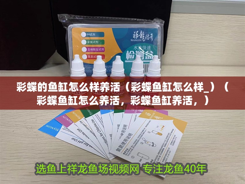 彩蝶的魚缸怎么樣養活（彩蝶魚缸怎么樣_）（彩蝶魚缸怎么養活，彩蝶魚缸養活，）