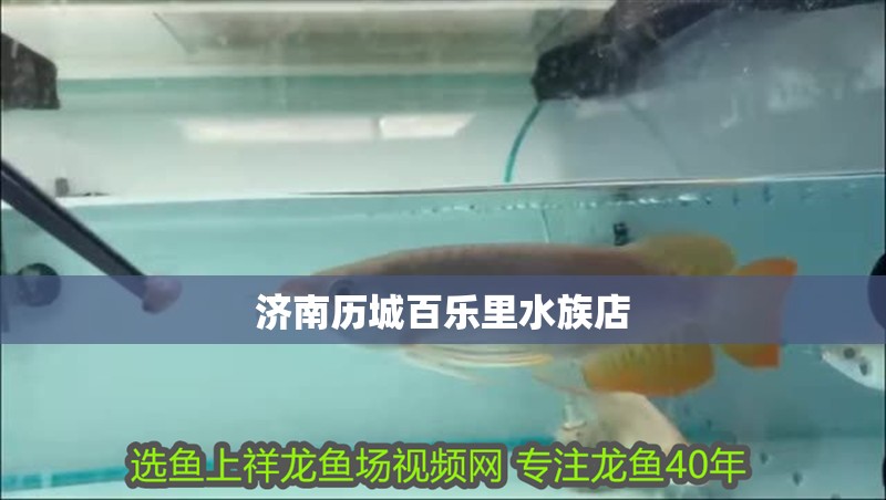 濟南歷城百樂里水族店