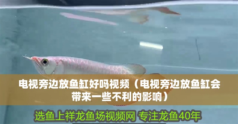 電視旁邊放魚缸好嗎視頻（電視旁邊放魚缸會帶來一些不利的影響）